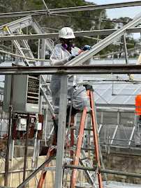 best mold removal in Atlanta