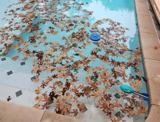 Gallery image 15 — pool restoration company New Braunfels