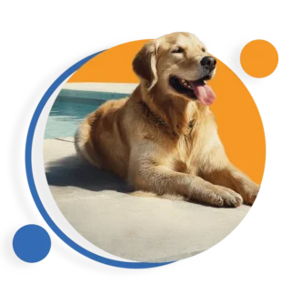 About pool restoration company New Braunfels