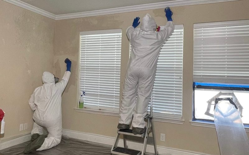 Gallery image 5 — hoarding cleanup San Antonio