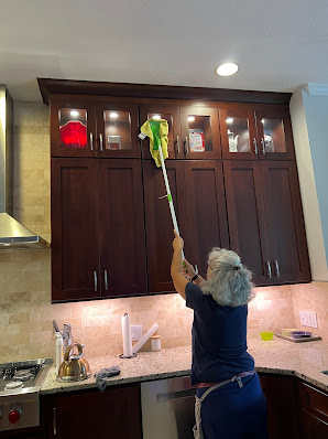Gallery image 4 — professional cleaners in Wesley Chapel