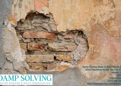 Gallery image 6 — Damp Solving