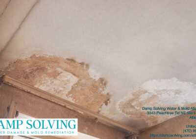 Gallery image 11 — Damp Solving
