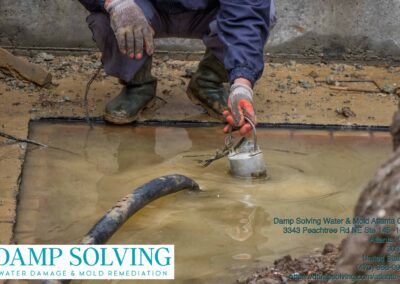 Gallery image 21 — Damp Solving