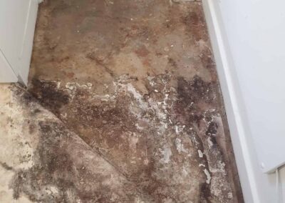 Gallery image 17 — Damp Solving