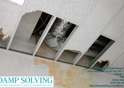 Gallery image 2 — Damp Solving