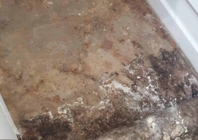 Gallery image 18 — Damp Solving