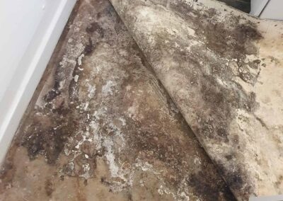 Gallery image 4 — Damp Solving