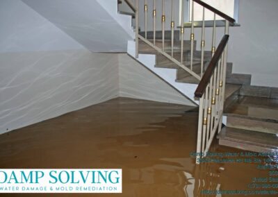 Gallery image 12 — Damp Solving