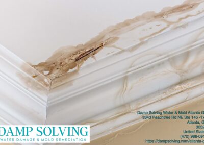 Gallery image 8 — Damp Solving