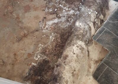Gallery image 7 — Damp Solving