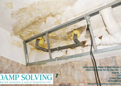 Gallery image 14 — Damp Solving