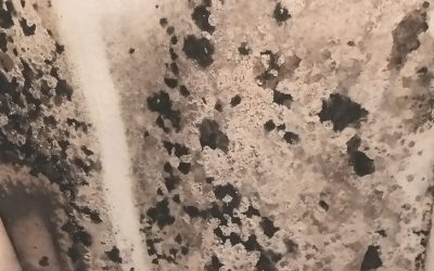 Gallery image 6 — asbestos removal Atlanta