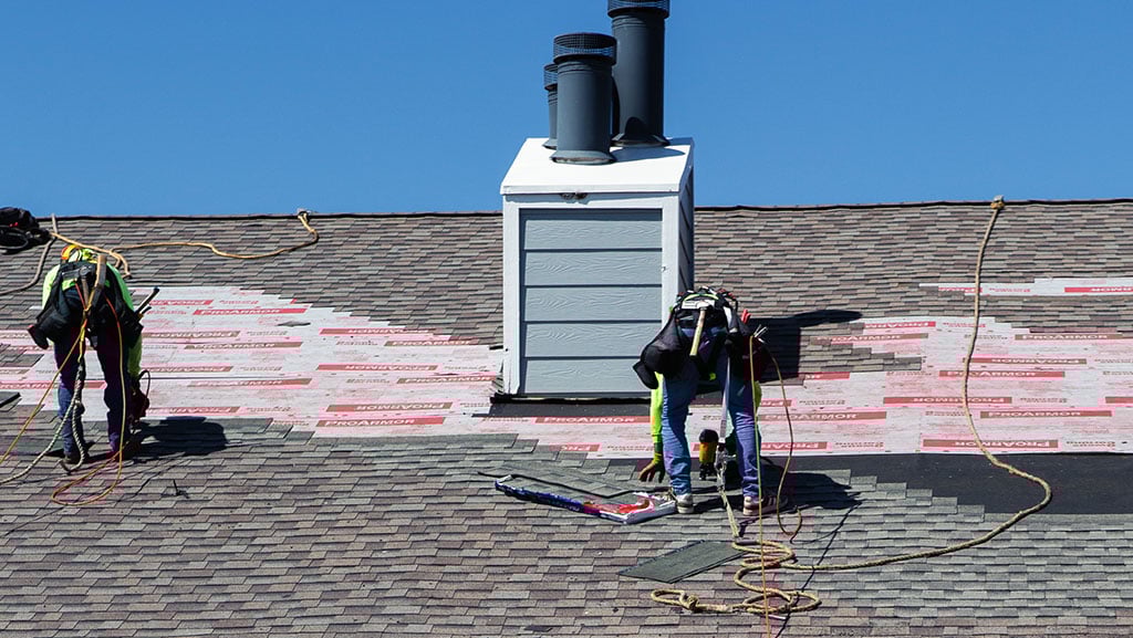 Gallery image 1 — mold remediation Denver