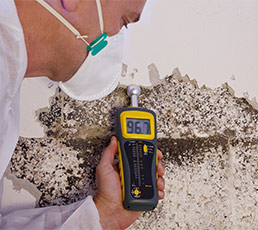 Gallery image 16 — lead paint remediation Amero Environmental Solutions