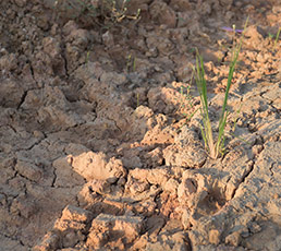 Gallery image 13 — lead paint remediation Amero Environmental Solutions