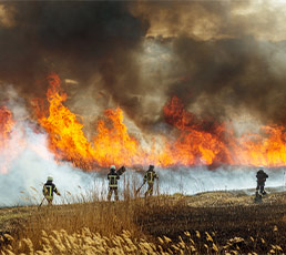 Gallery image 19 — lead paint remediation Amero Environmental Solutions