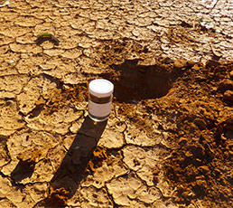 Gallery image 12 — lead paint remediation Amero Environmental Solutions