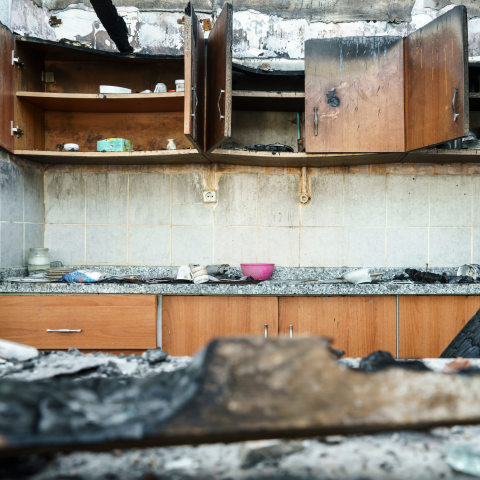 Gallery image 3 — best mold removal Denver