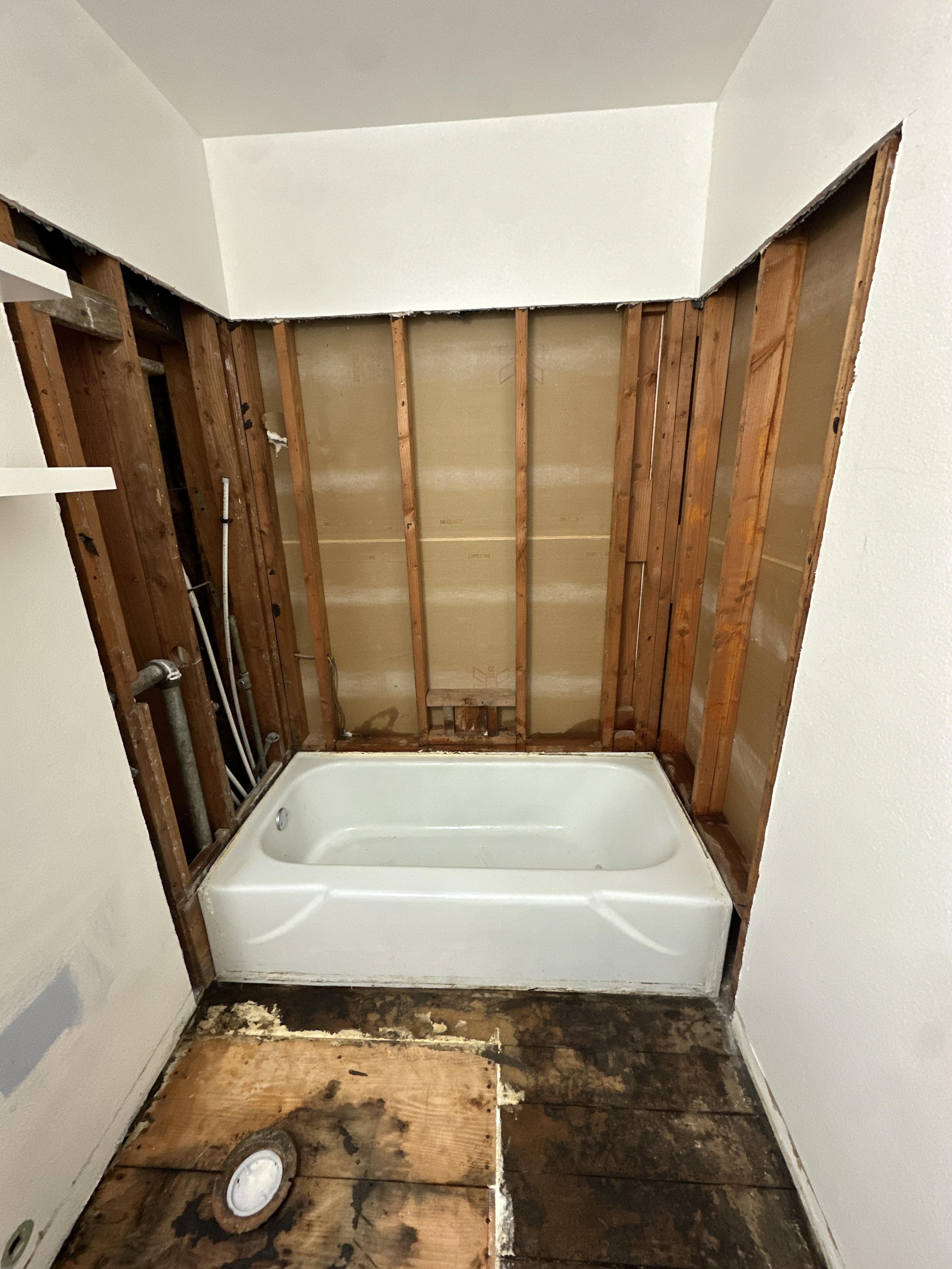 Gallery image 8 — best mold removal Denver