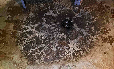 Gallery image 5 — professional water restoration near me