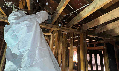 Gallery image 1 — mold remediation experts Colorado