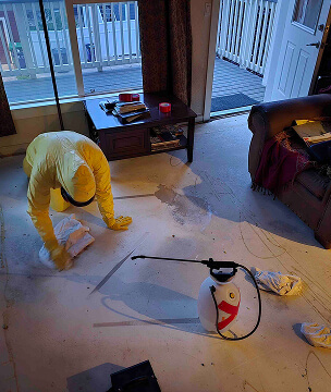 Gallery image 4 — mold remediation experts Colorado