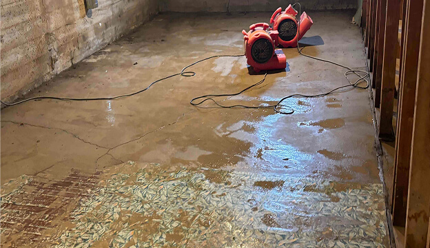 Gallery image 6 — mold remediation experts Colorado