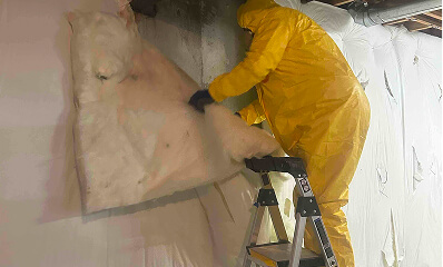 Gallery image 8 — mold remediation experts Colorado