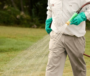 Gallery image 9 — lawn care Houston