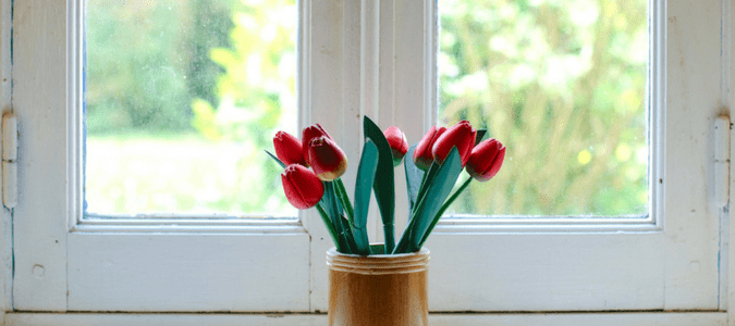 Gallery image 11 — lawn care Houston