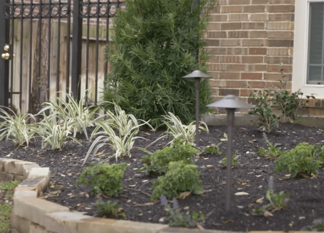 Gallery image 18 — lawn care Houston