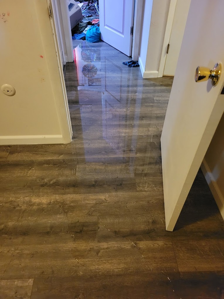 Gallery image 6 — Elite 1 Restoration