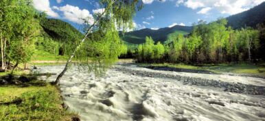 Gallery image 7 — mold remediation near me