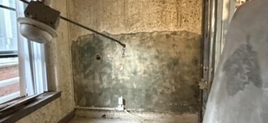 Gallery image 6 — mold remediation near me