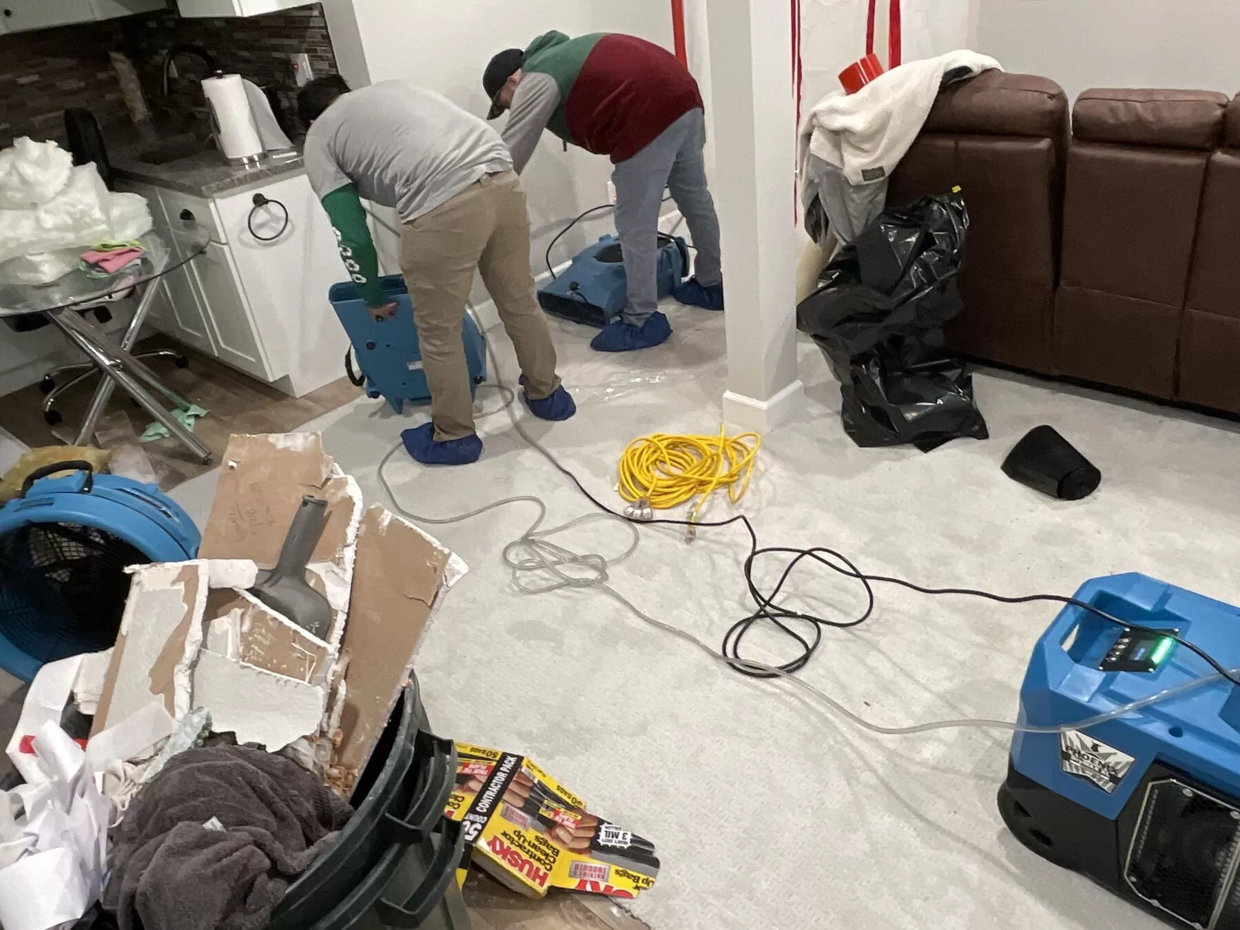 mold remediation near me