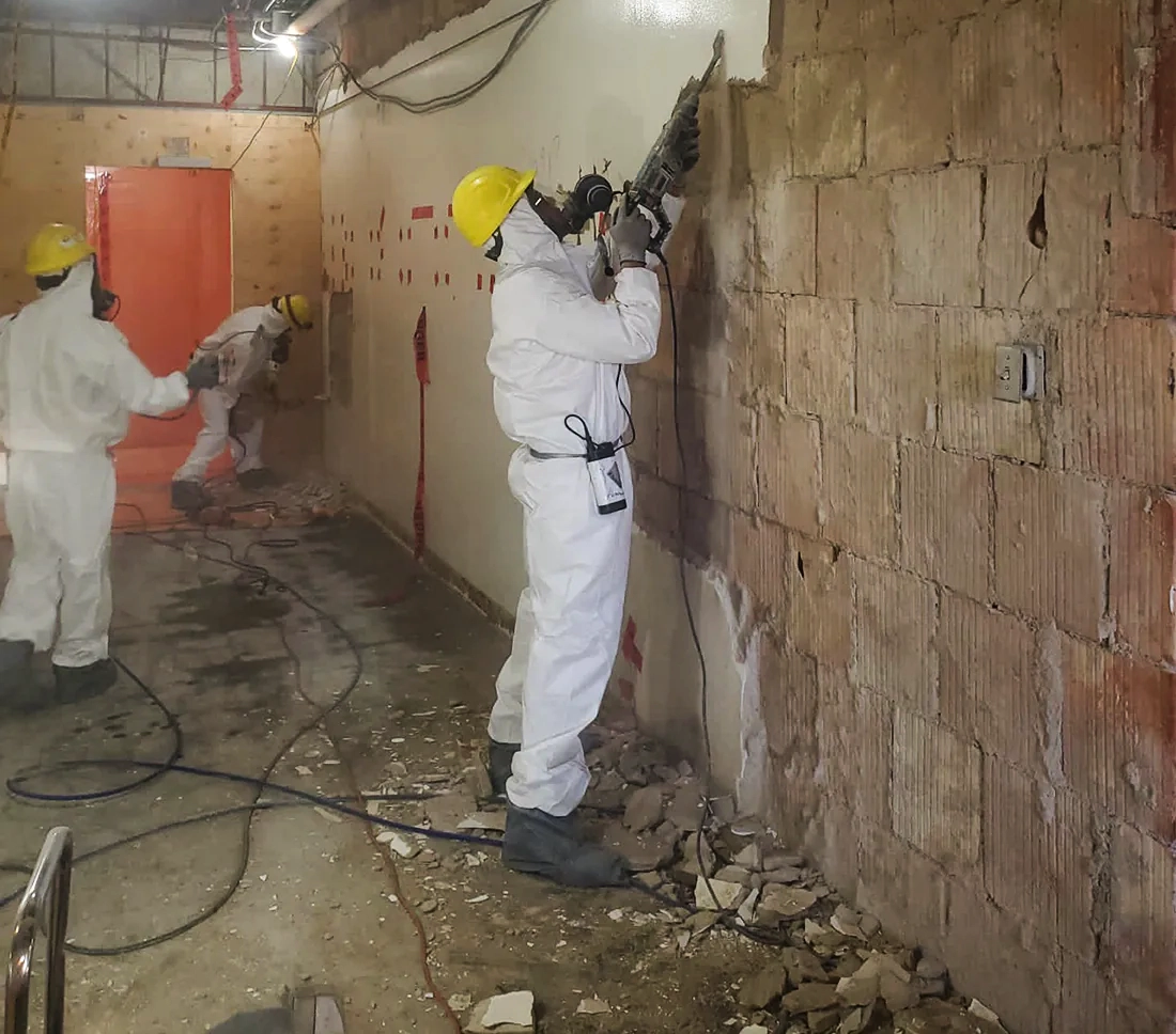 Gallery image 3 — mold remediation near me