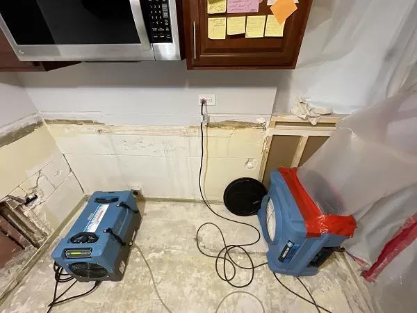 Gallery image 1 — mold remediation near me