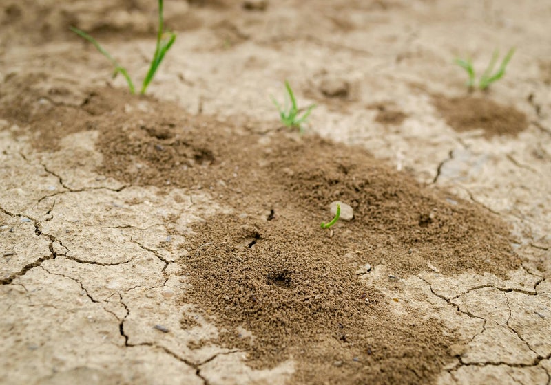 Gallery image 8 — pre-construction termite treatment Houston