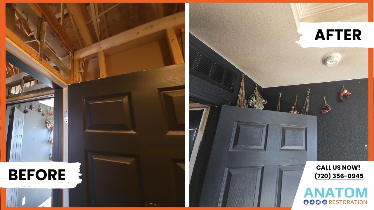 Gallery image 3 — Anatom Restoration