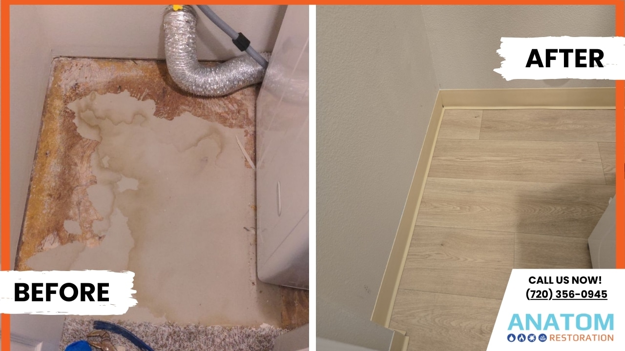 Gallery image 6 — Anatom Restoration