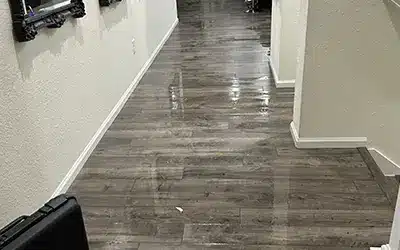 Gallery image 7 — sewage backup cleanup Denver