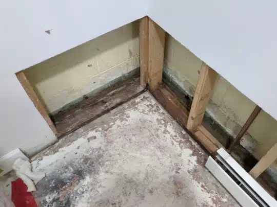 Gallery image 8 — sewage backup cleanup Denver