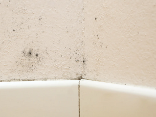 Gallery image 7 — emergency water damage restoration in Front Range