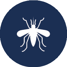 Gallery image 7 — residential pest control Phoenix