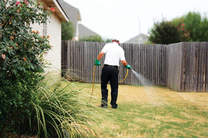 ant control treatment Texas