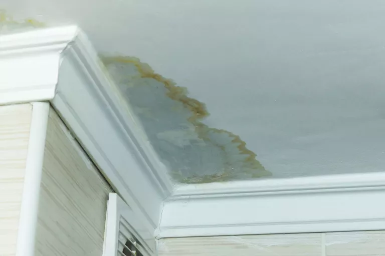 Gallery image 11 — Palace Restoration