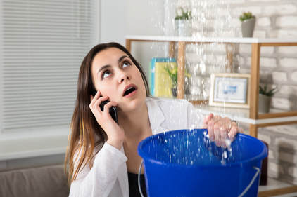 Gallery image 17 — residential plumber Sterling Heights area