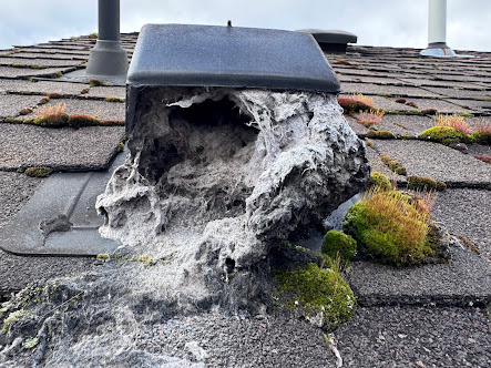 affordable air duct cleaning %AREA%