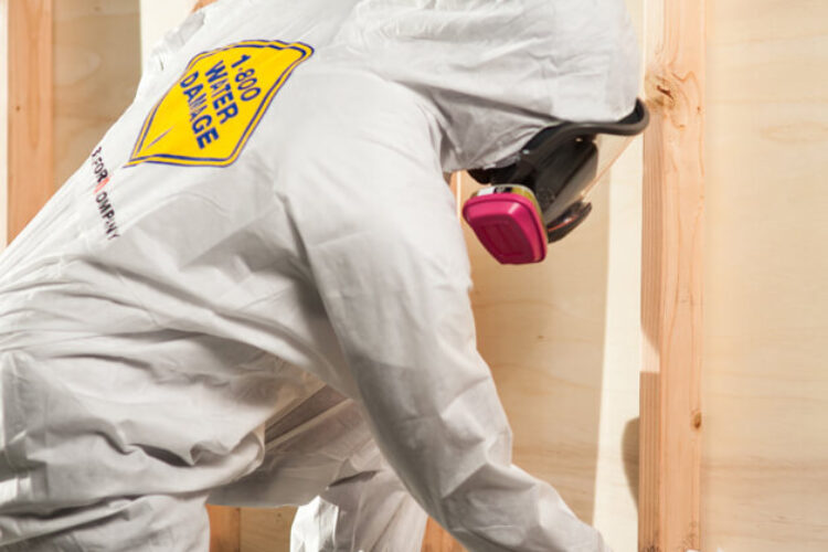 Gallery image 4 — IICRC certified mold removal in South Denver